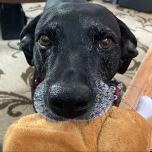 Meet your Posher, Becky